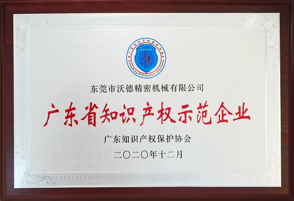 廣東省知識產(chǎn)權(quán)示范企業(yè)